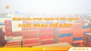 Nhập khẩu chính ngạch và tiểu ngạch khác nhau thế nào? Ưu điểm và rủi ro cần tránh