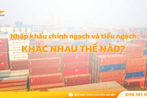 Nhập khẩu chính ngạch và tiểu ngạch khác nhau thế nào? Ưu điểm và rủi ro cần tránh
