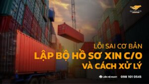 Lỗi Sai Cơ Bản Khi Lập Bộ Hồ Sơ Xin C/O Và Cách Xử Lý