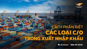 Cách Phân Biệt C/O Ưu Đãi & C/O Không Ưu Đãi Hợp Lệ Trong Xuất Nhập Khẩu Trung - Việt